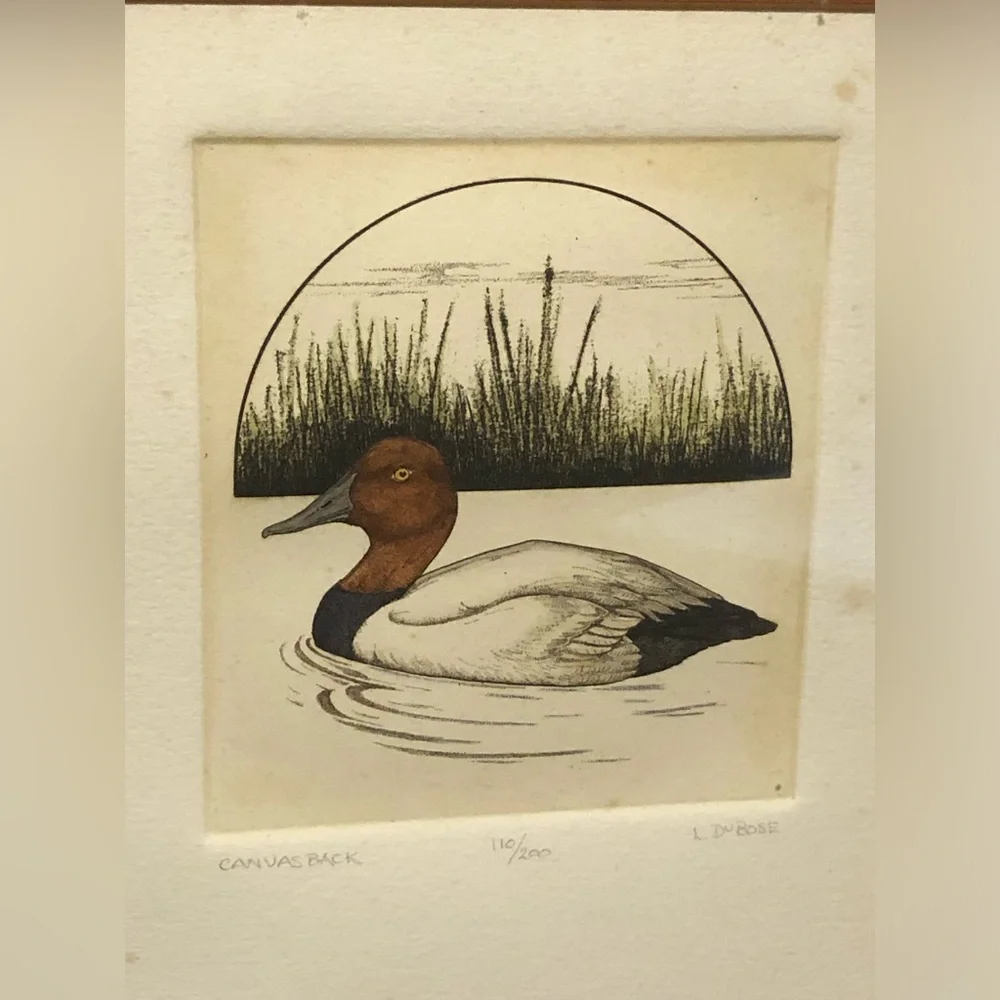 2258 Set Canvas Back /Shoveler Duck Prints by L. DuBose Signed & Numbered Framed